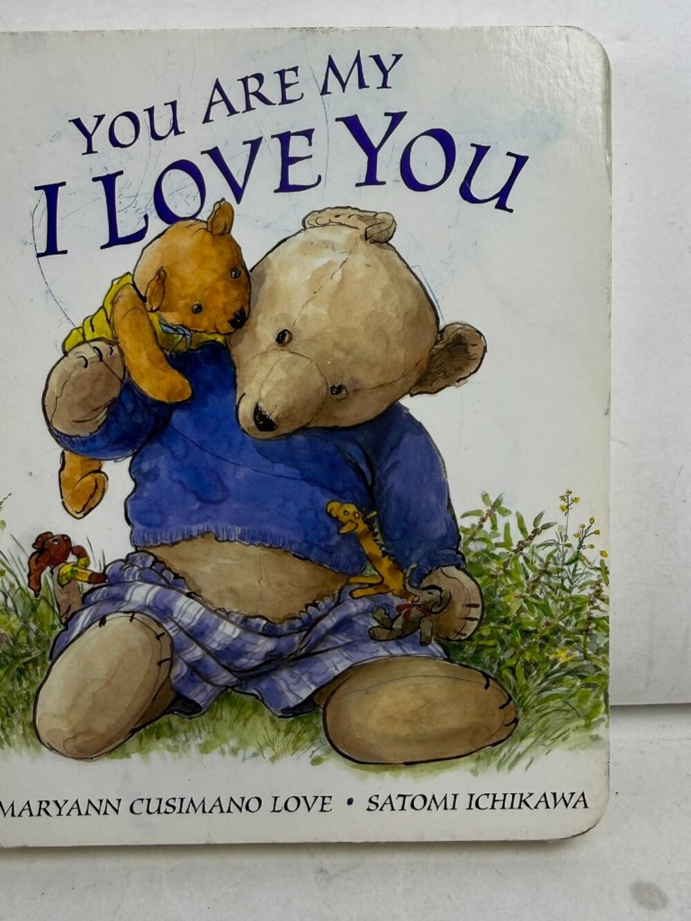 You Are My I Love You Maryann Cusimano Love Board Book Satomi Ichikawa